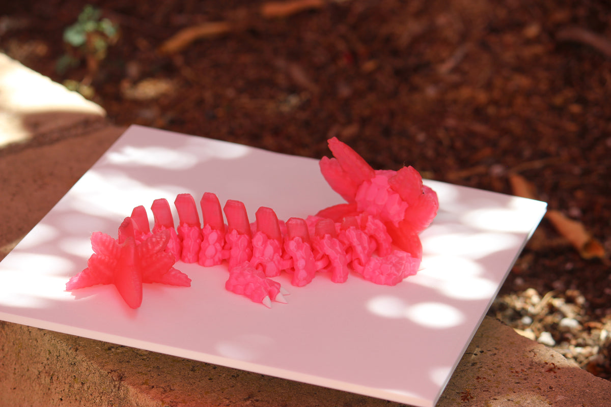 Axolotl Dragon - SoCal Geek Prints