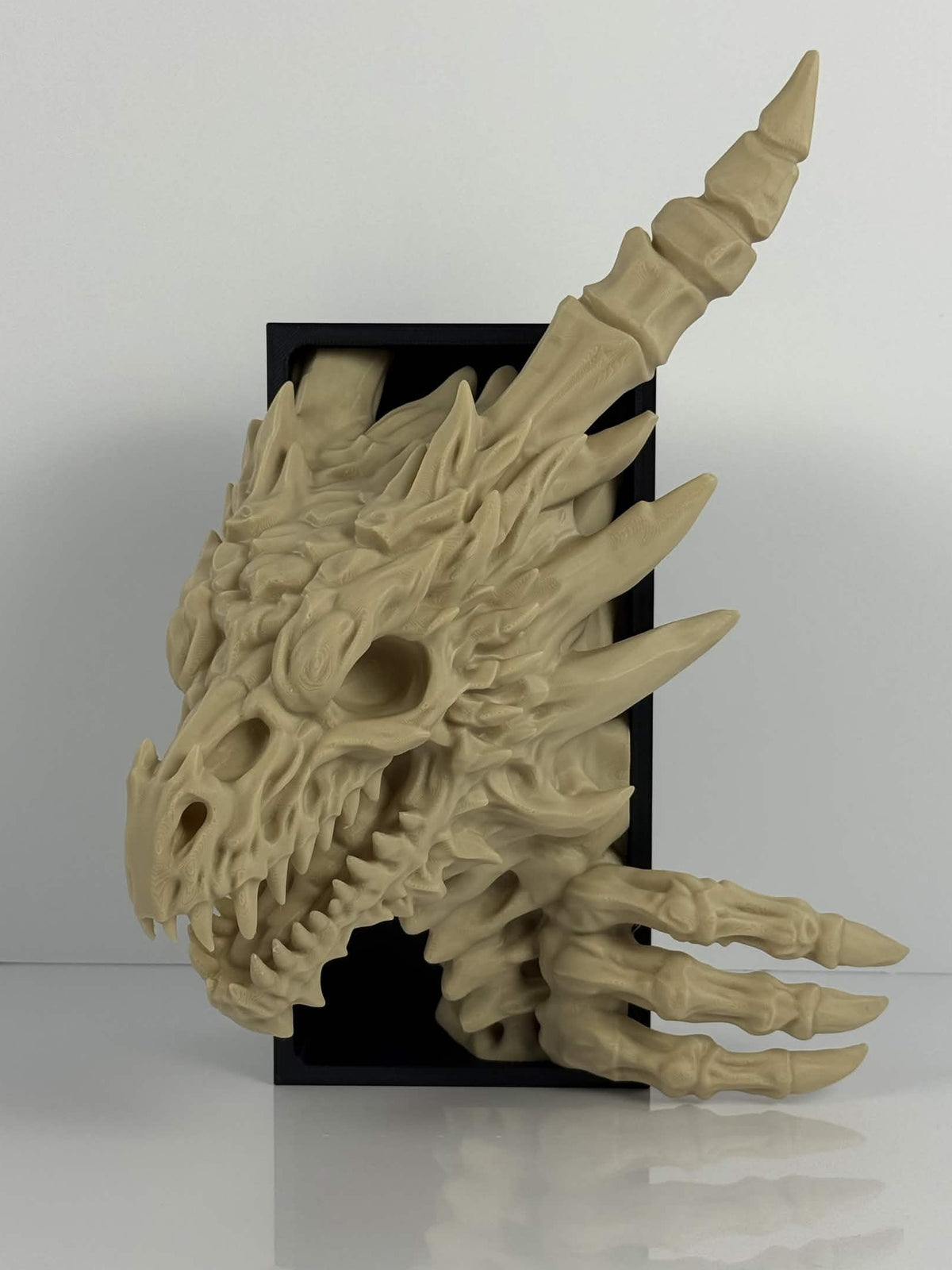 Skeleton Dragon Book Nook | Fantasy Bookshelf Decor