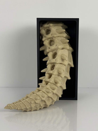 Skeleton Dragon Book Nook | Fantasy Bookshelf Decor