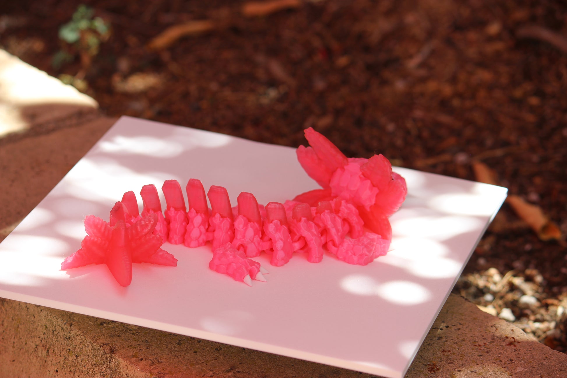 Axolotl Dragon - SoCal Geek Prints