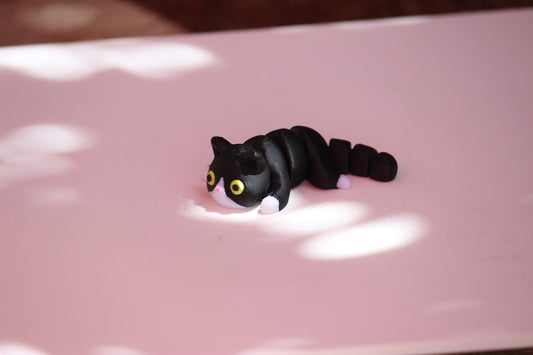 Cat Mini