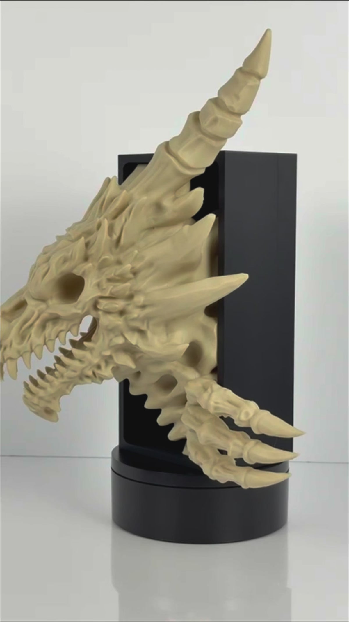 Skeleton Dragon Book Nook | Fantasy Bookshelf Decor